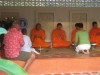 Local Buddhist Monks bless TunaResort 1/2008